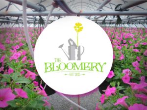 Opening Weekend for the Spring of 2018 Season @ The Bloomery | Hopkinsville | Kentucky | United States