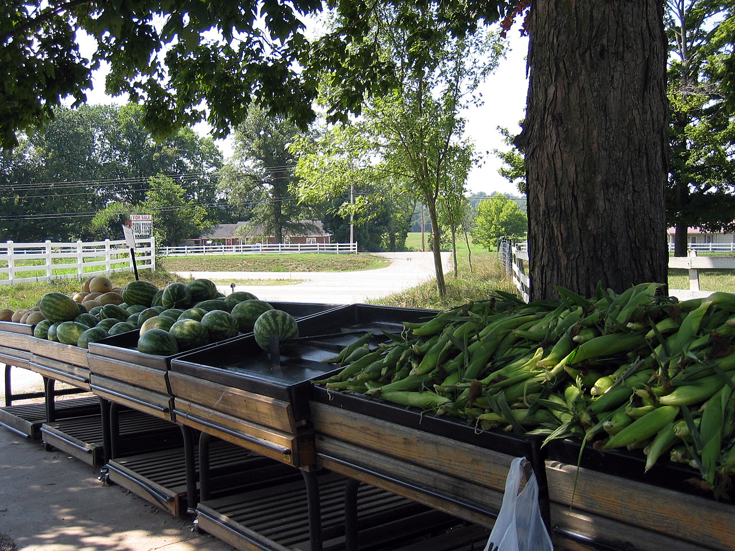 Fairview Produce Auction Visit Hopkinsville Christian County